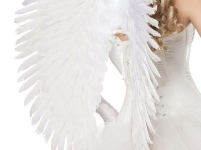 14983 014 XXX 00 400x300 - Angelska pernata velika bela krila  AX-14983